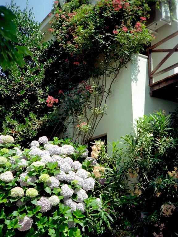 Villa Georgie Tsagarada Luaran gambar